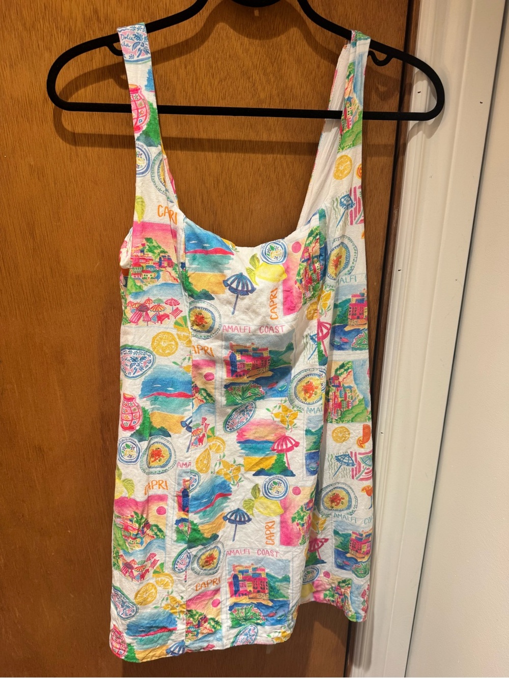 Show Me Your MuMu Multicolor Mini Dress with Beach Print